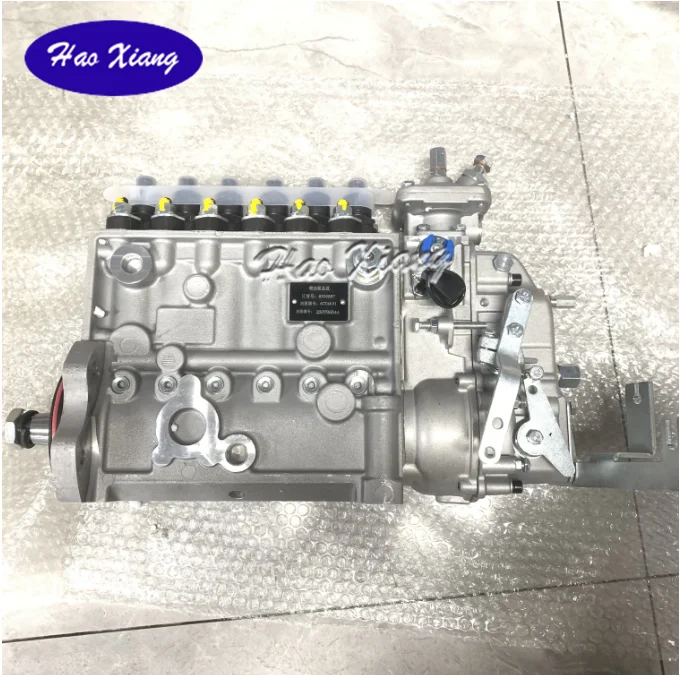 Haoxiang Auto Parts Diesel Fuel Injection Pump 3926887 For Cummins 6CT8.3 260HP P2200 Diesel Engine