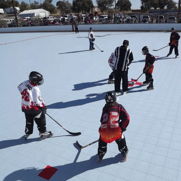 Direct factory 2021 PP Material Hockey Synthetic Ice Rinks Artificial Ice Skating Rinks Used Synthetic Ice for Sale