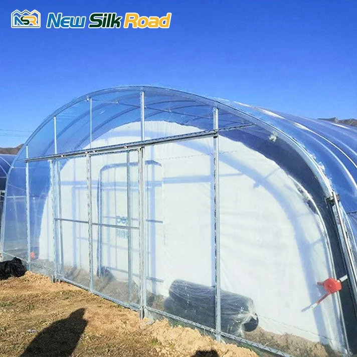 NSR Greenhouse Low Cost Double Arch Plastic Film mushroom Greenhouse For Sale