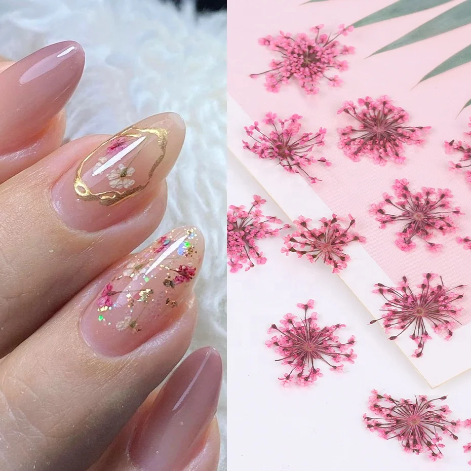 3D Real Dried Flowers Nail Art Decoration Lace Petal Design Natural Pressed Floral Charm Plant Jewelry Nail Decorations