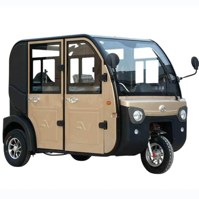 Full Enclosed 3 Wheel Car Adult Vehicle 3 Wheel Rickshaw