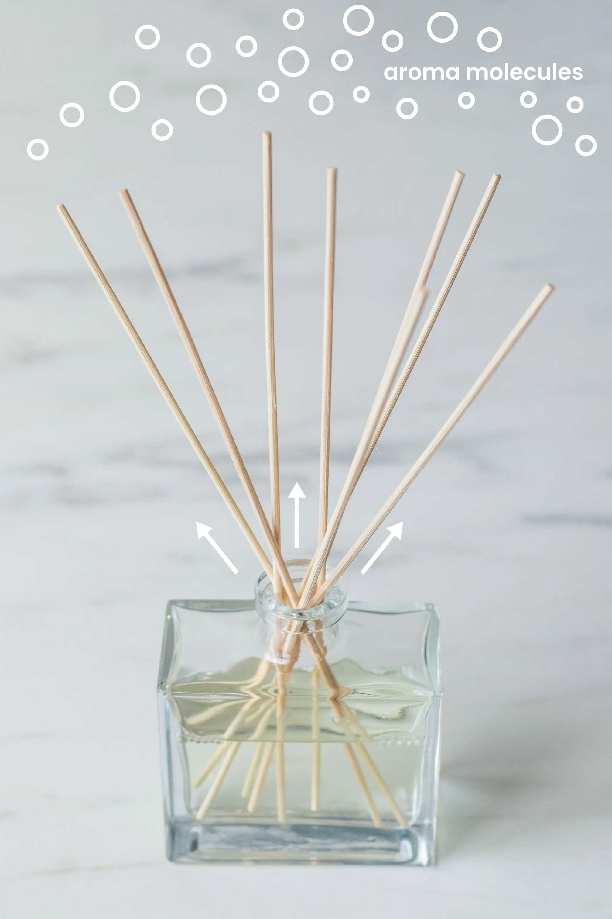 Long Lasting Brand Perfume Smell Scented Aroma Diffuser Oil Reed Diffuser Based Refills Oil
