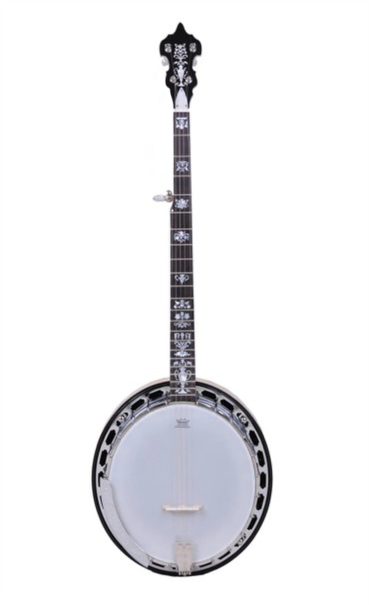4 string Banjo cheap price banjo instrument