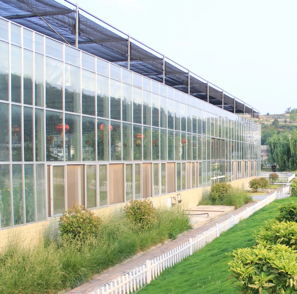 Multi-span Invernadero  Green House For Agricultural Greenhouse with aquaponic system