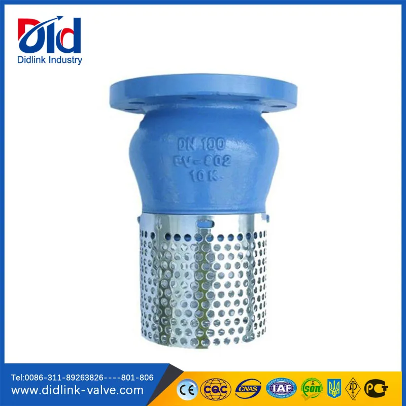 Well Hydraulic Air Bronze Stand Replacement Spring Din Ductile Iron Jet Pump Foot Valve Strainer