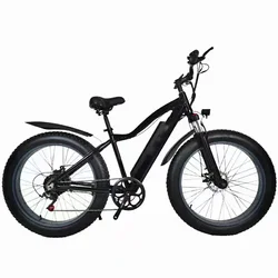Factory Direct Supply 48V E Bicycle / Wholesale foldable Electric Bike With Cheapest Price / buy cheap electric bicycle