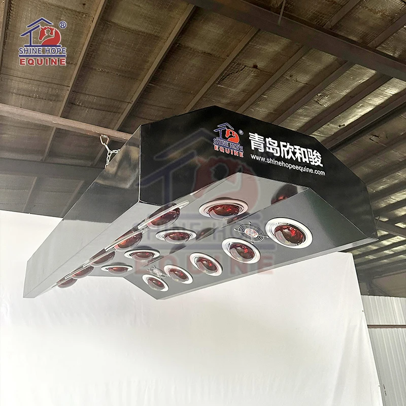 Equine Solarium Systems for Horses Health