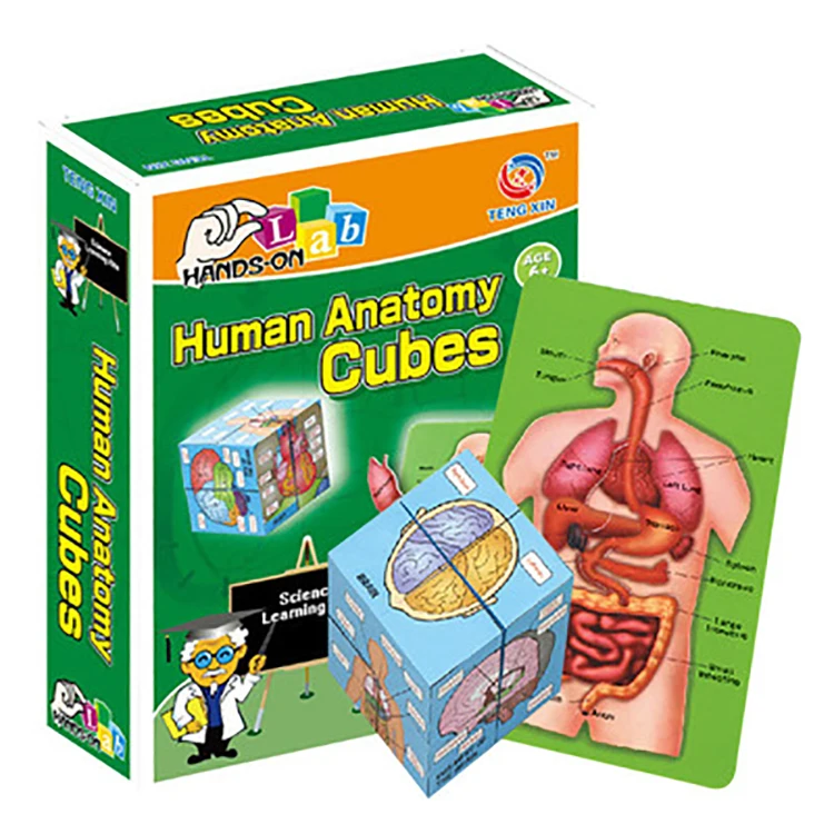 Hot Human Organs Anatomy Stem Early Education Toys Magic Cube for Kids
