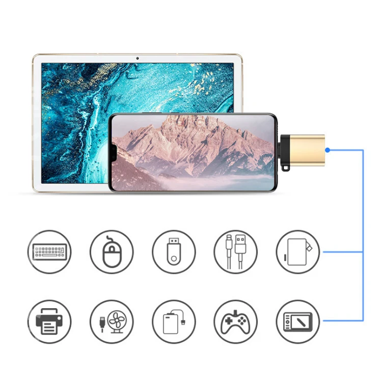 Alloy USB 3.1 Type-c Converter OTG Adapter Type C for MacBook Pro