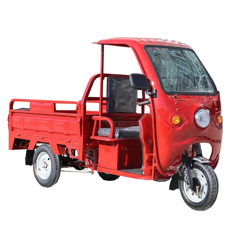 2024 New Wholesale Cargo Tricycle 1000w 1500w 2000w Electric Tricycle Load Capacity 1000 Kg Cargo Etrike for  Sale