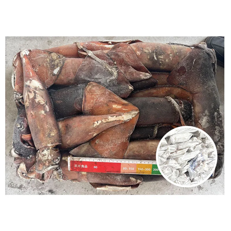 500-1000g Whole Round Squid Dosidicus Gigas Sea Frozen Equator Squid