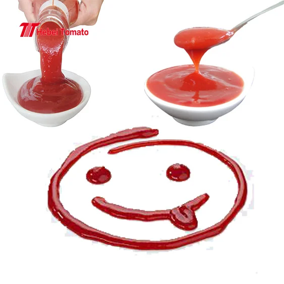 Wholesale Price Canned Food Tomato Paste Ketchup with OEM Private Labels