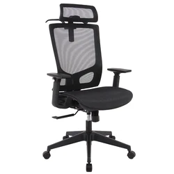 HENGLIN Coat Hanger And Headrest Computer Desk Chair High Back Ergonomic Mesh Office Chair
