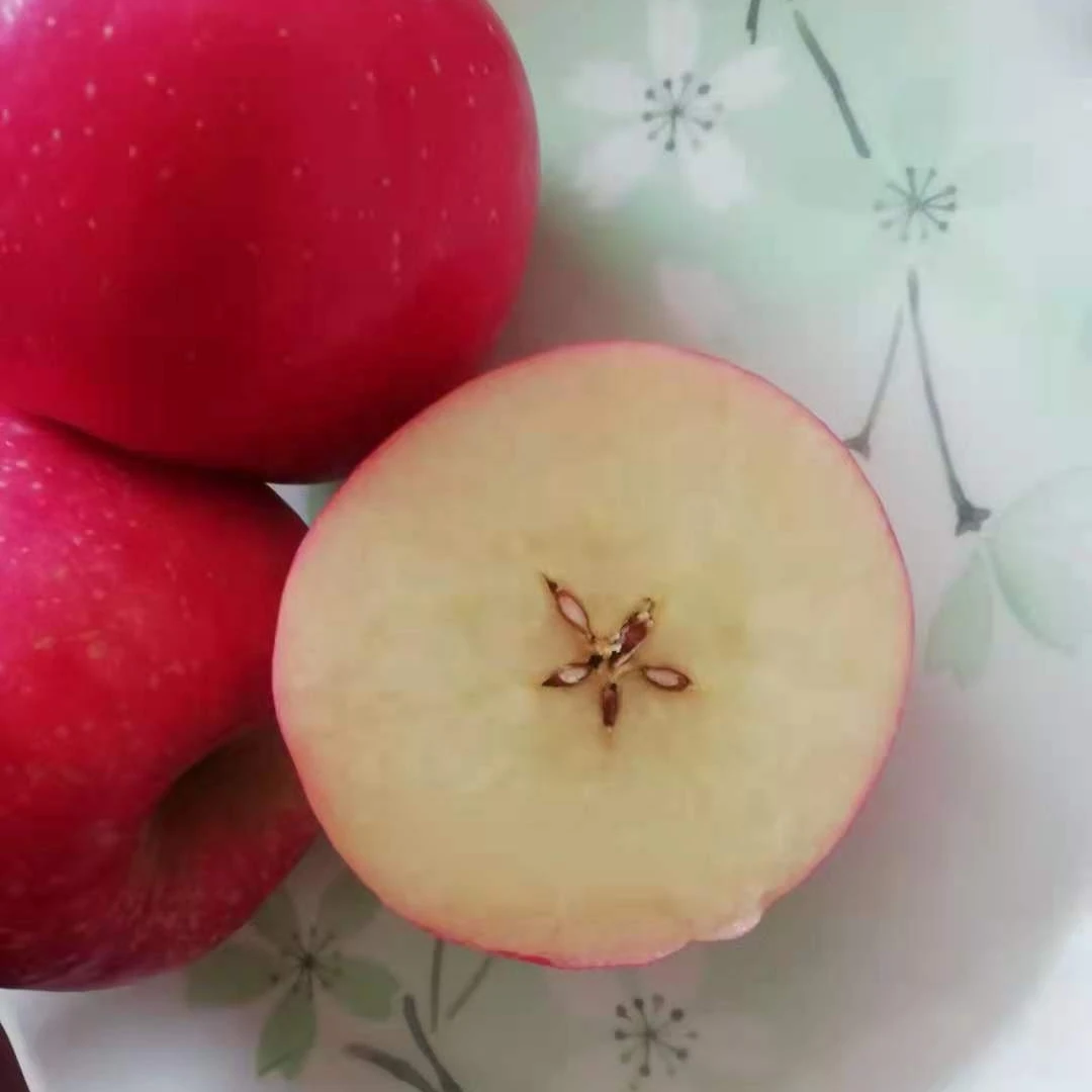 
Chinese Fuji Apple Supplier 