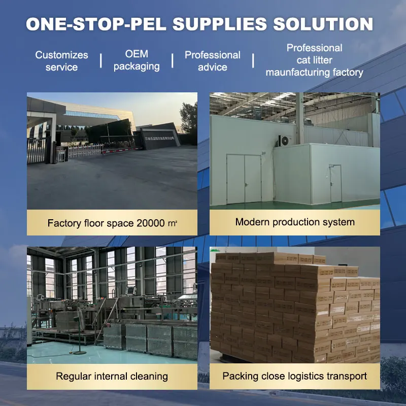 Здоровый корм для собак с высоким содержанием белка все этапы жизни упаковка всех пород 10 кг 15 без зерна