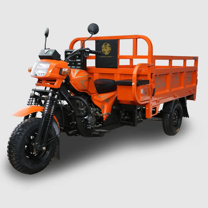 
Made in Chongqing Cargo Tricycle Motor Lifan 150cc 