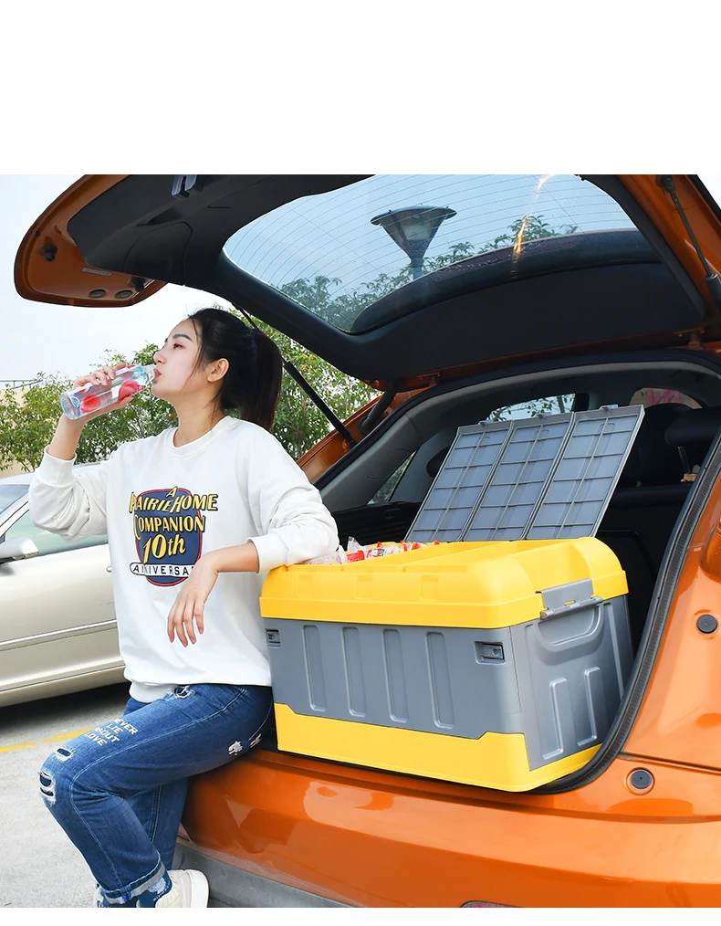 universal models wholesale foldable toys tidy collapsible car back seat rear cargo boot plastic PP  trunk storge box organizer