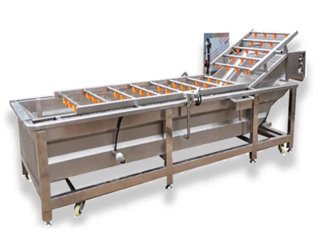 Widely Used Superior Quality Automatic Potato Fruit And Vegetable Bubble Cleaning Machine