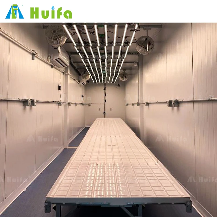 Smart Container Nft Hydroponic Farm Solution Grow House Vertical Farming System 40 Ft Mushroom Shipping Container Farm Rack