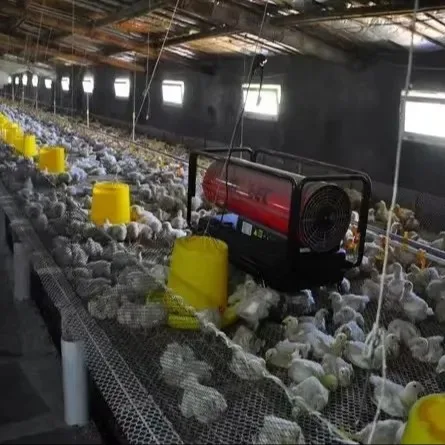 Industrial Fuel Burning Diesel Oil Fan Heater Poultry Farm Diesel Oil Heater Poultry Brooding Equipment Air Heater