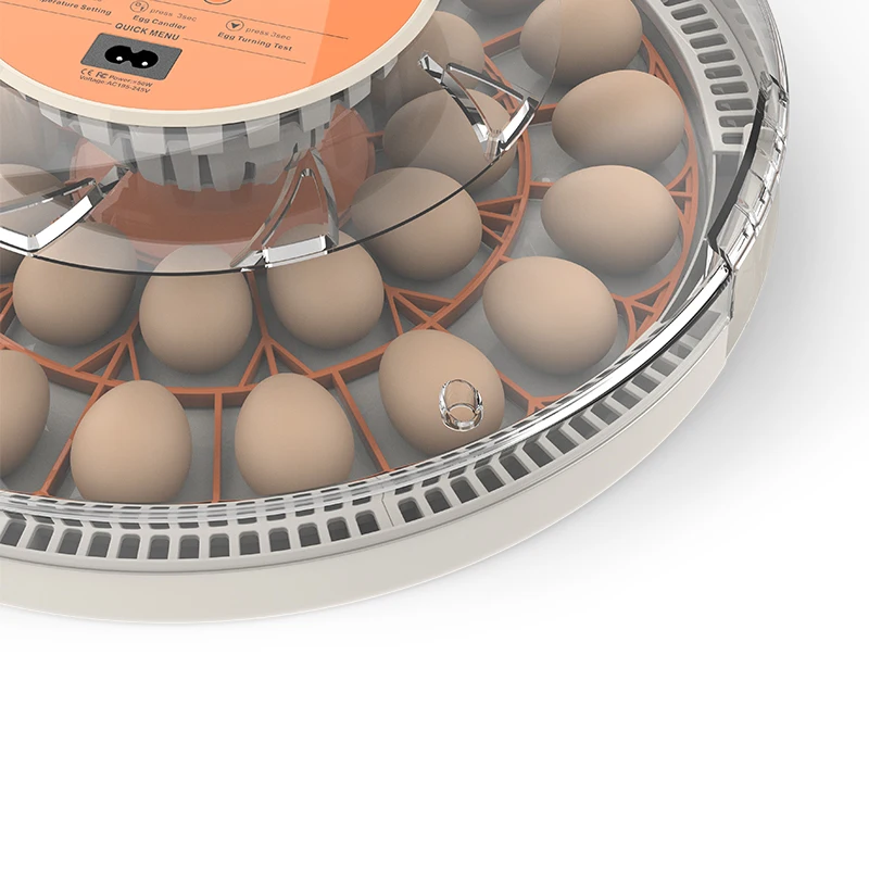 Hhd Quail Cage Egg Large Capacity Egg Incubator Pet Supplies And Equipment Plucker Innovative Products Ozone Generators