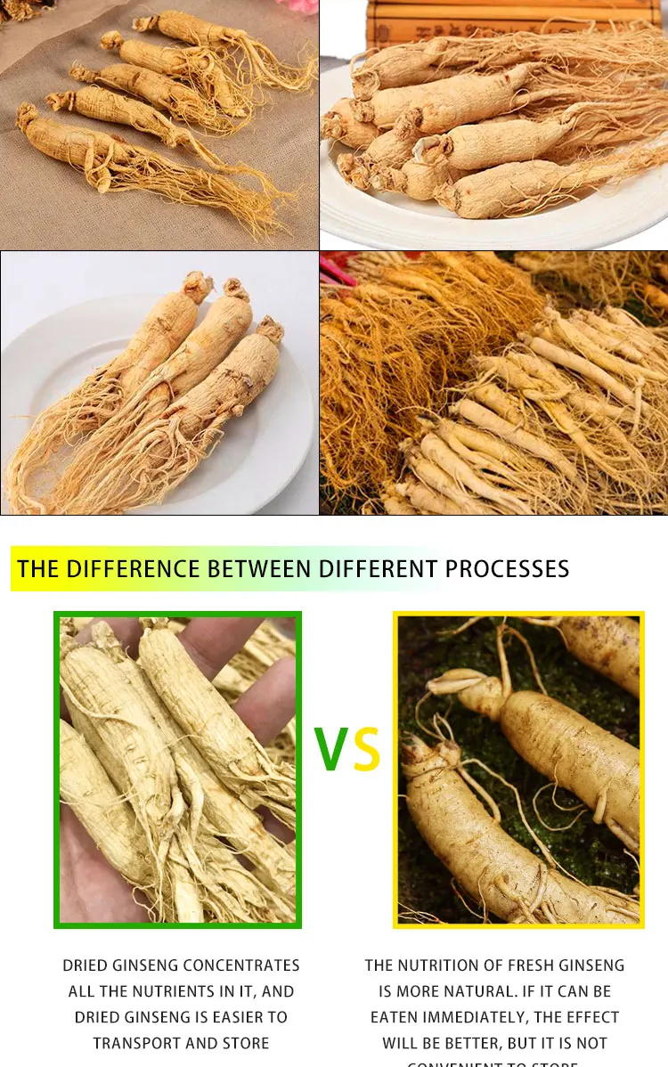 Natural Organic Wild Panax Ginseng Root Dried Red Korean Ginseng Extract Whole Ginseng Root