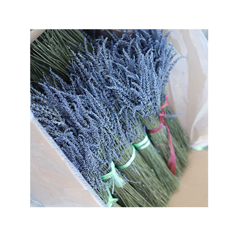 
China Professional Manufacture Preserved Wedding Bride Bouquet Flower 