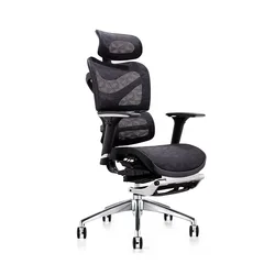 2021 Modern Commercial Office Furniture High Back Adjustable Mesh Ergonomic Chair with Lumbar