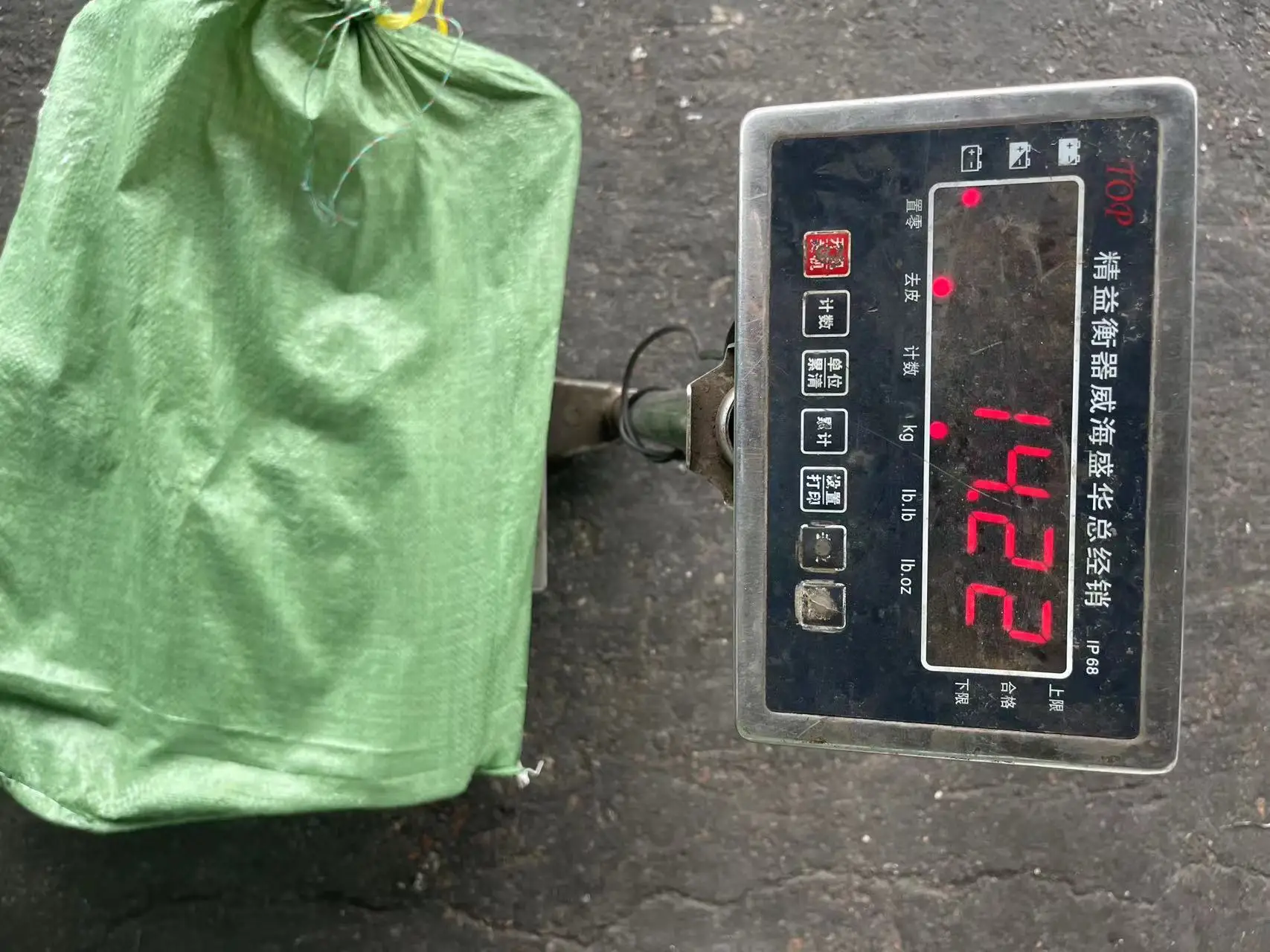 Good Quality Seafrozen Raw Material 1000-2000g Frozen Equator Squid Wing