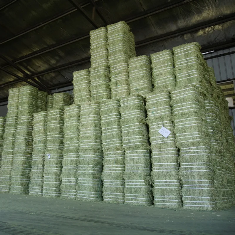 
big bales small bales Premium alfalfa hay for sale 