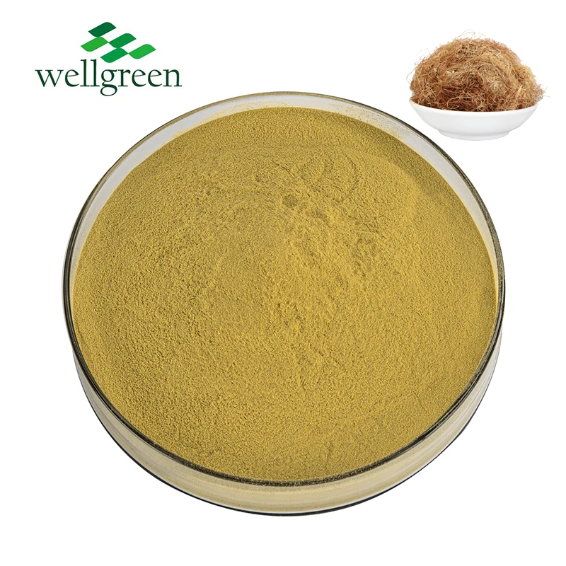 Wellgreen поставка качественного порошка для стигматы Maydis экстракт из кукурузного шелка 10:1