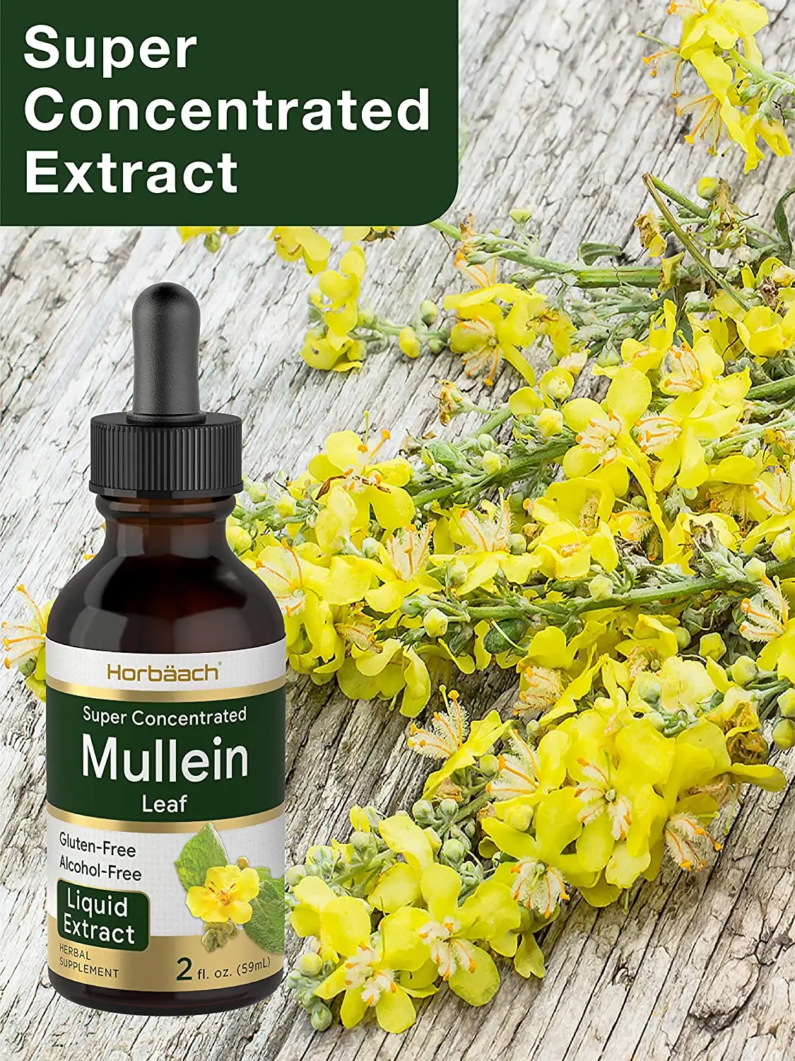 wholesale OEM/ODM Private label Mullein Leaf Liquid Extract 2 fl oz Alcohol Free Vegetarian Non-GMO & Gluten Free Supplement