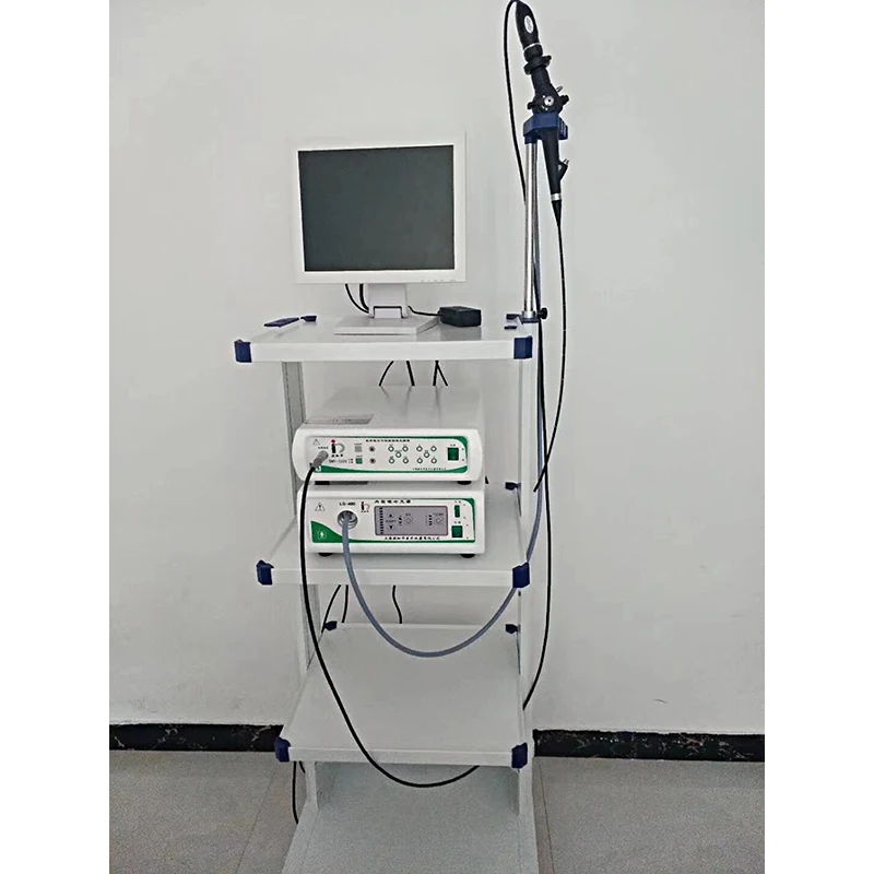HC-R029 Medical Endoscopic System Hot Sale Veterinary Endoscope System For Gastroscope