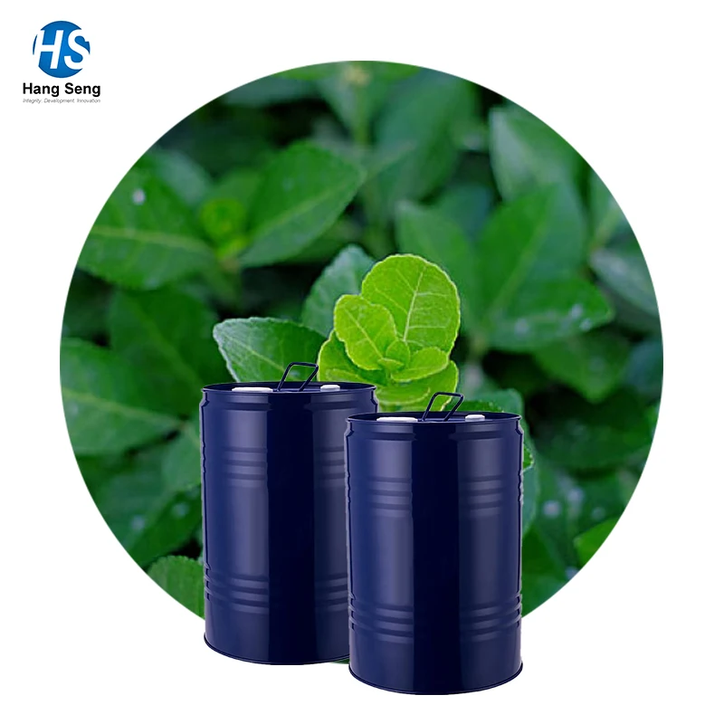 Bulk Wholesale 100% Pure Wintergreen Oil/Winter Green Oil Bulk/Pure Oil Winter Green