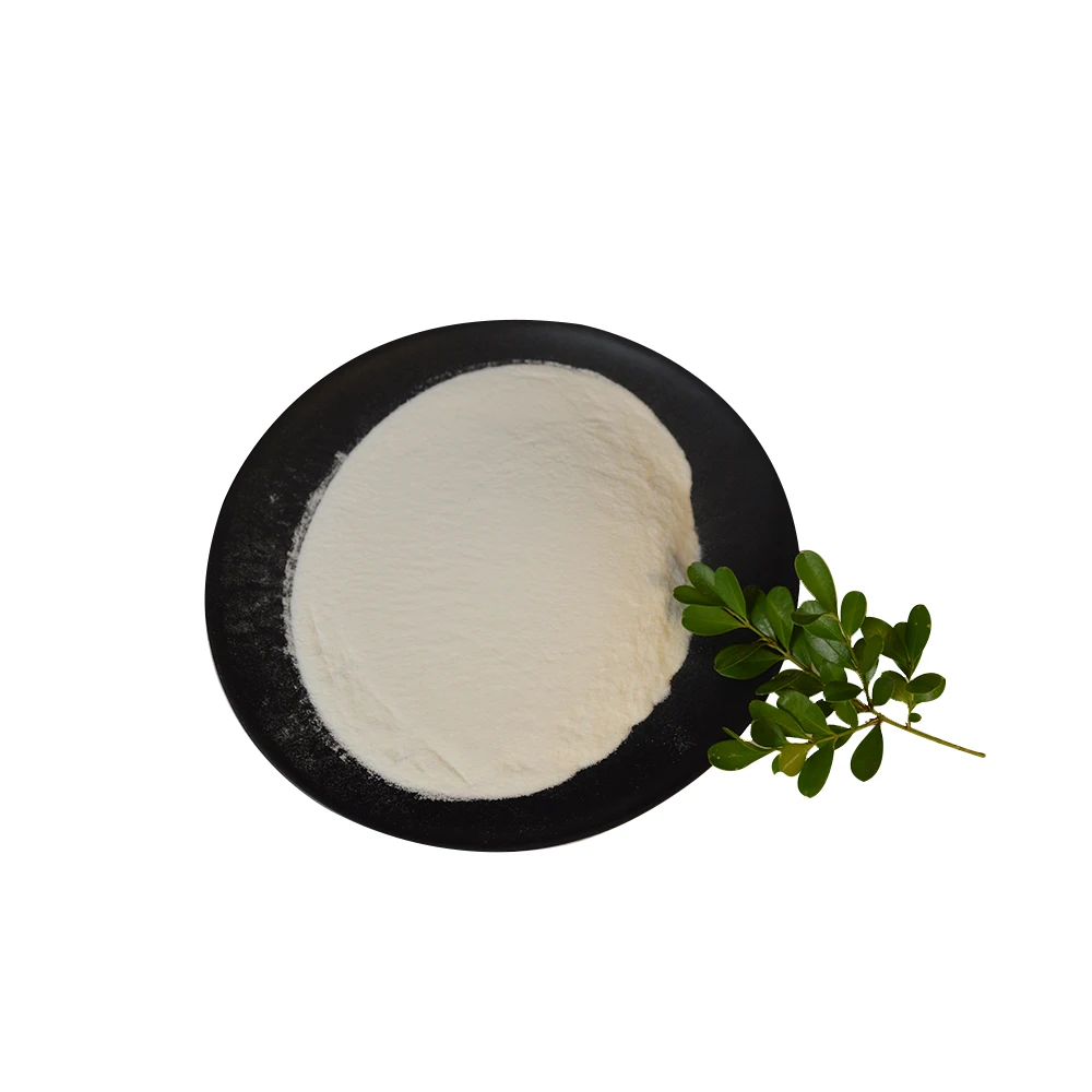 WHRQ Factory RDP VAE 1000w Redispersible Powder Chemical Auxiliary Agent Building Materials Low Price