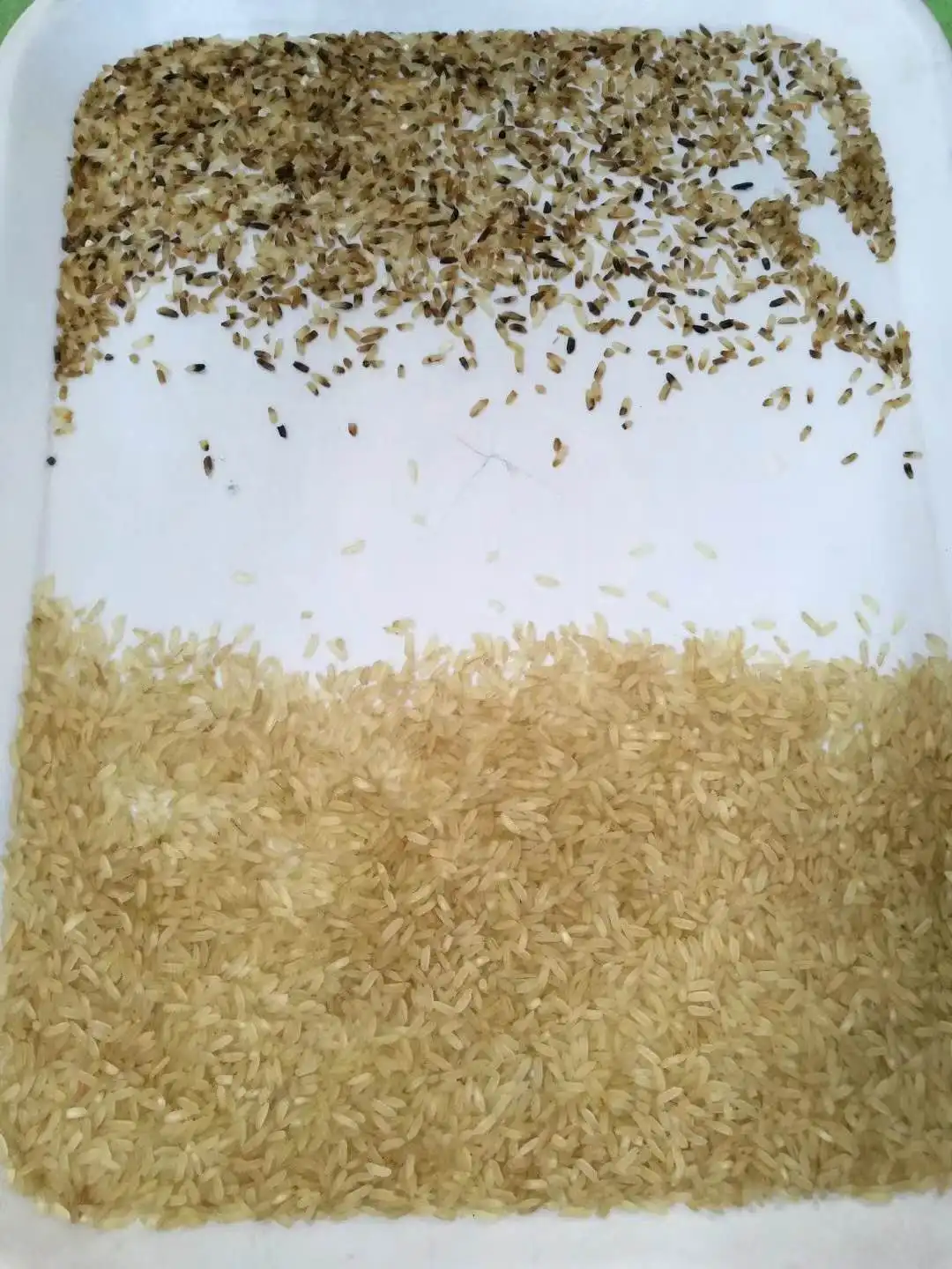 Israel Colour Sorter Machine Rice Full Color CCD Black Rice Color Sorter Machine High Efficiency Rice Optical Sorter