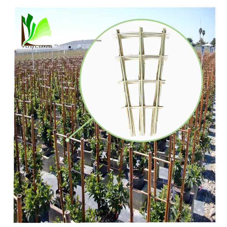 Wholesale Natural Garden Bamboo Trellis