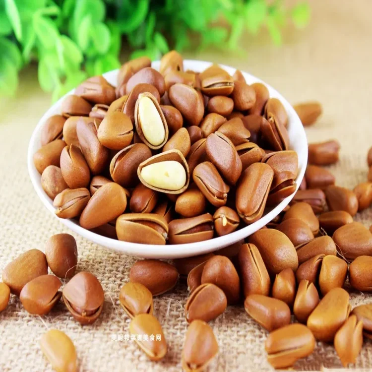 An organic pine nut used for oil extraction