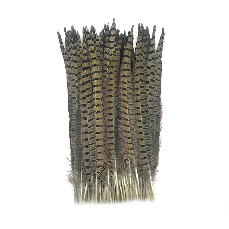 Factory Supplier Natural Pheasant Feathers Ringneck Pheasant Feathers