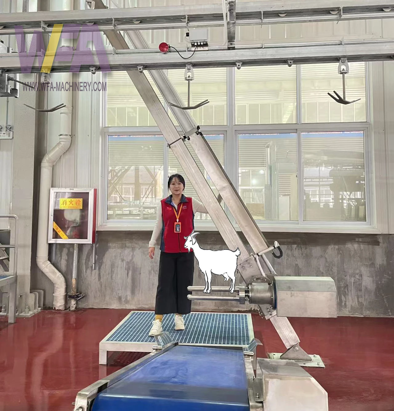 Factory Outlet Meat Deep Processing Complete Goat Slaughter Line Abattoir Equipment Project Design Sheep Skinning Machine