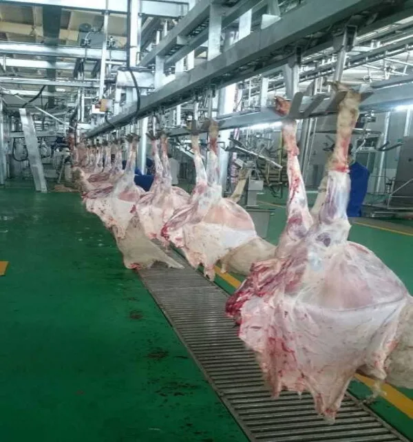 Hot sale tent full automatic sheep slaughter machine