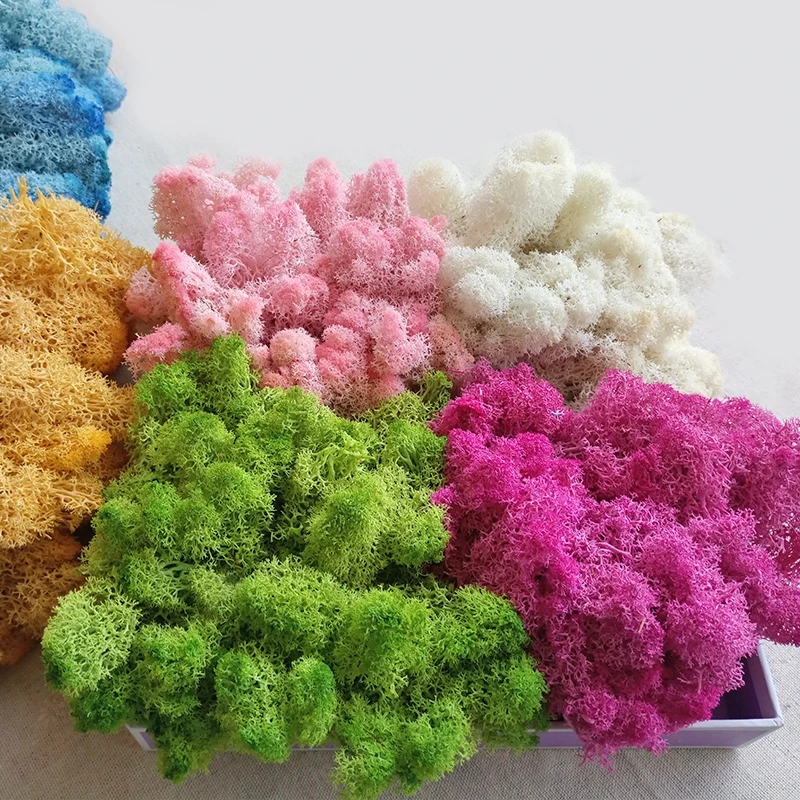 
Yunnan popular real preserved flowers natural moss for moss wall decor 