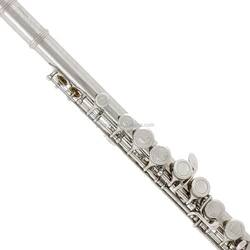 Accetp OEM 16 Holes C Nickel Flute With E mechanism Flute JYFL201E