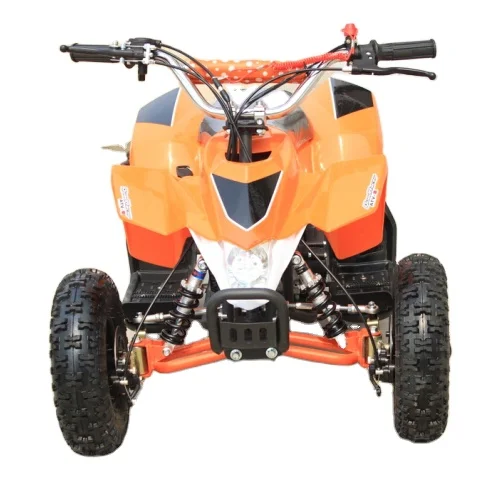 CE Approved  2 Stroke 50cc All Terrain Vehicles, Can Make in Electric ATV Quad Bike