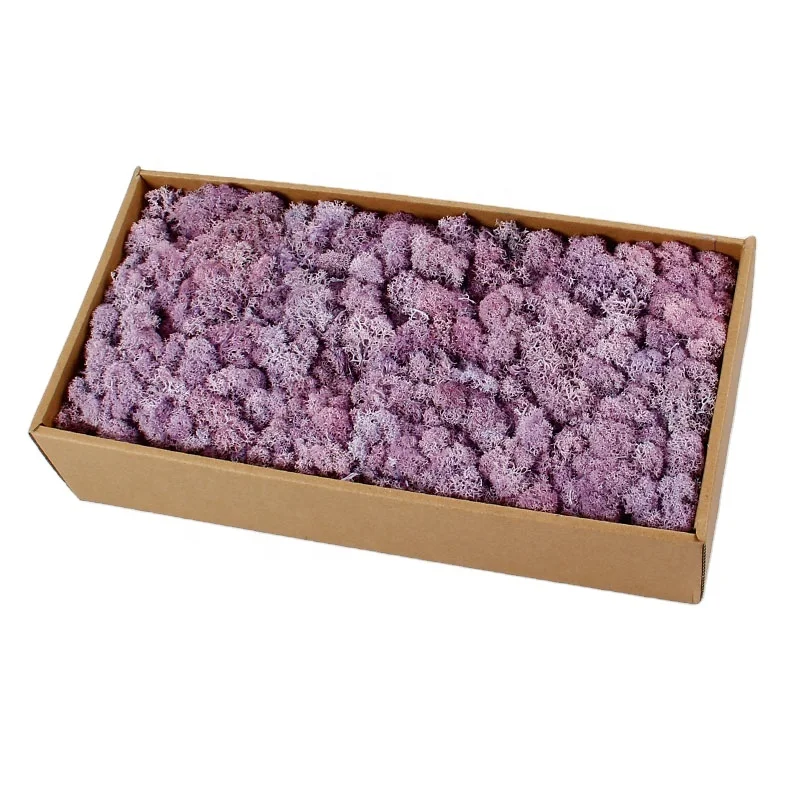 Better Natural Norwegian Reindeer Moss Preserved Dried Crafts Flower sheet Moss