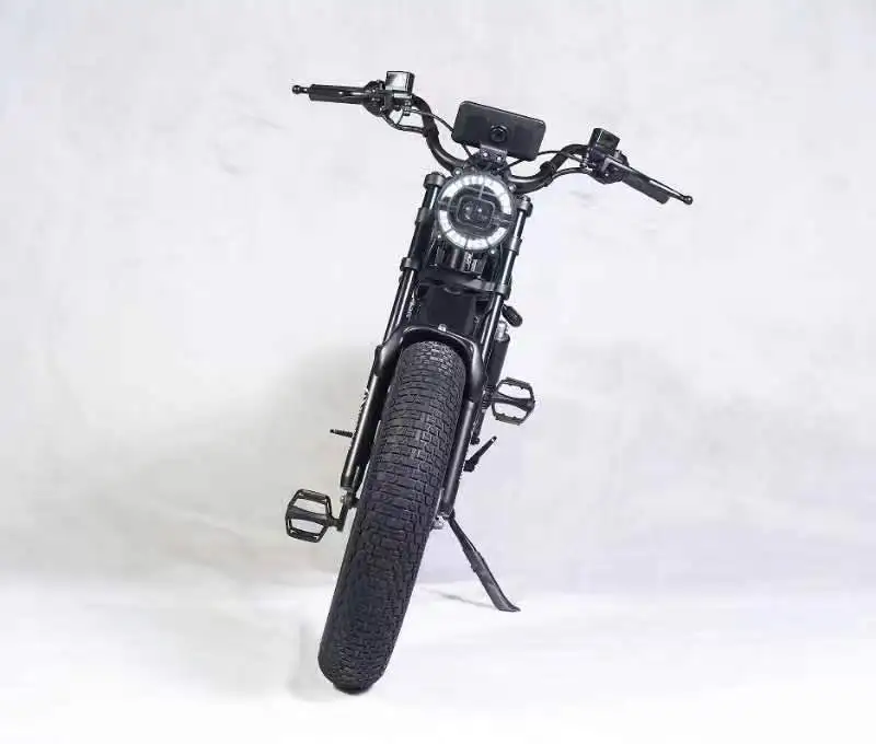 2024 Newest EcoRider HiMoto Fat Tire Electric Bike 20*5.0 Tire 48V 30Ah/60Ah All Terrain Electric Hybrid Bicycle