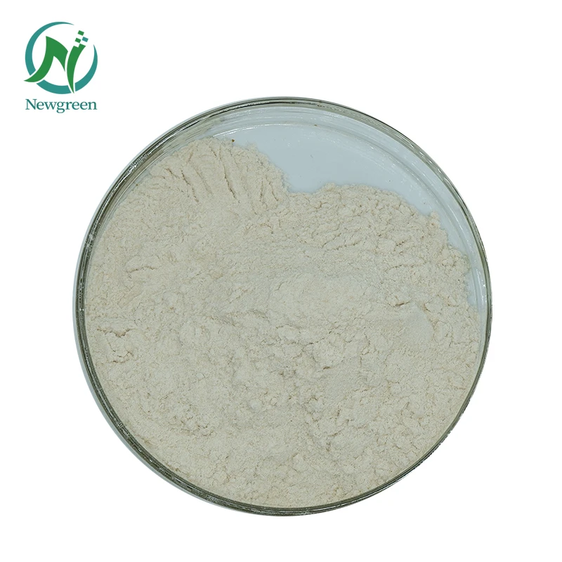 Food Grade Lipase Enzyme For Cheese Lipase Enzyme Price