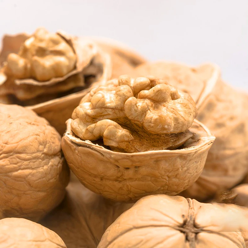 Famous Chinese dried fruit products walnuts kernel without shell Nutritious and healthy snacks shell-less walnut