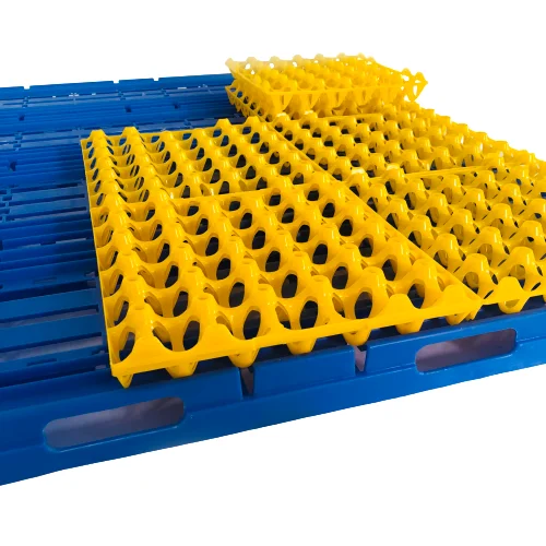 High quality Stackable and durable 30 Hole Farm Chicken Plastic Egg Shakers transport packing Crates Grille Egg Trays for Save