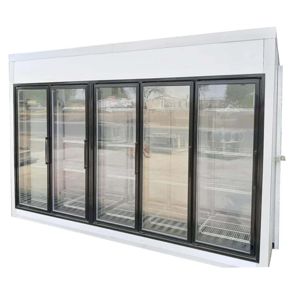 Commercial Refrigeration Equipment display Showcase glass doors and frame for supermarket liquor store